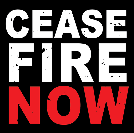 Digital Sign - Cease Fire Now